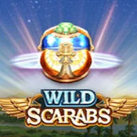 Wild Scarabs